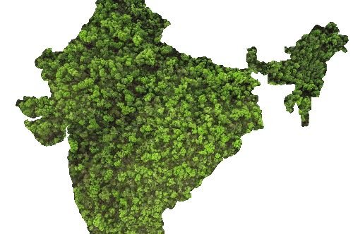 Discover the Essence of Ayurveda